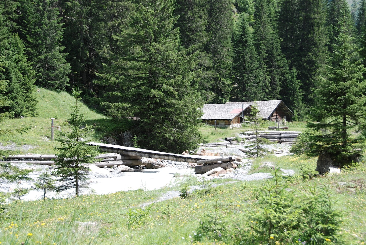 A rustic chalet is nestled among lush green trees, beside a gently flowing river. A wooden bridge extends over the water, connecting to the grassy area in front of the chalet. Wildflowers dot the landscape, enhancing the serene natural environment.