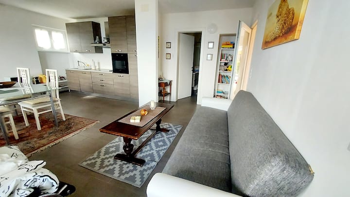 Apartment With View Of The Lugano Valley. - Canton Ticino