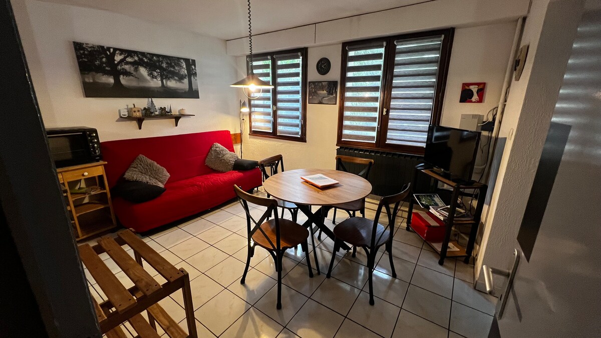 Top performing Airbnb: Apartment in the city center of La Bresse. in La Bresse