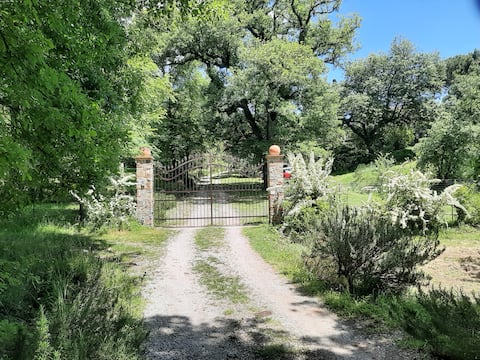 Apartment LA LOGGIA 2+2