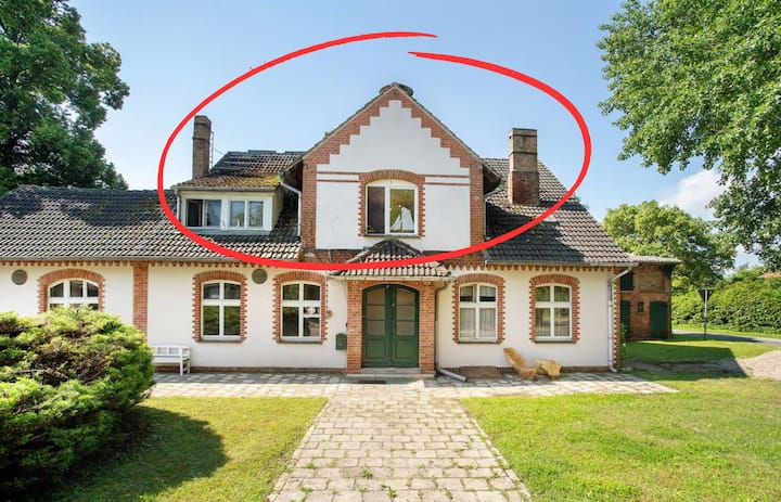 Ferienhaus Sommer Linden - Mecklenburgische Seenplatte