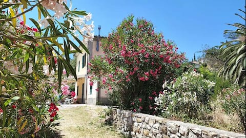 Elba apartment in villa with terrace & grill