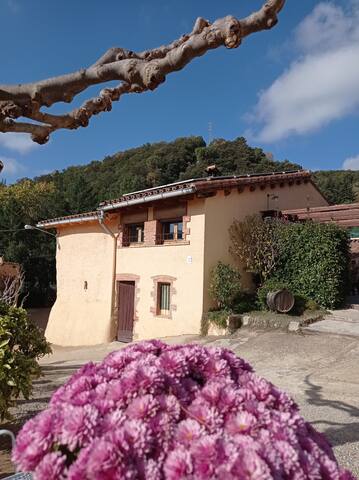 Autumn in a group, chestnuts at home for 20 people gallery image 4