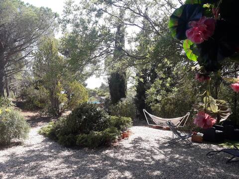 Quiet cottage and pool