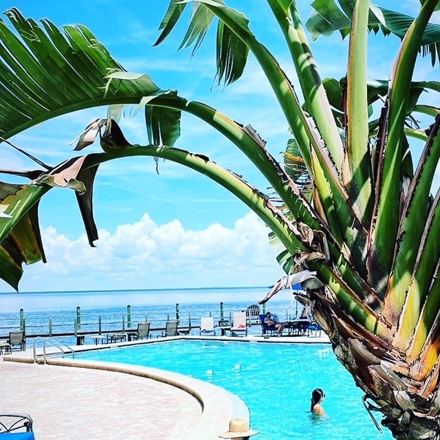An inviting pool area is surrounded by lush palm trees, with a clear view of the water in the background. Lounge chairs are positioned around the pool, which reflects the bright blue sky and white clouds above. A person is seen enjoying the water.