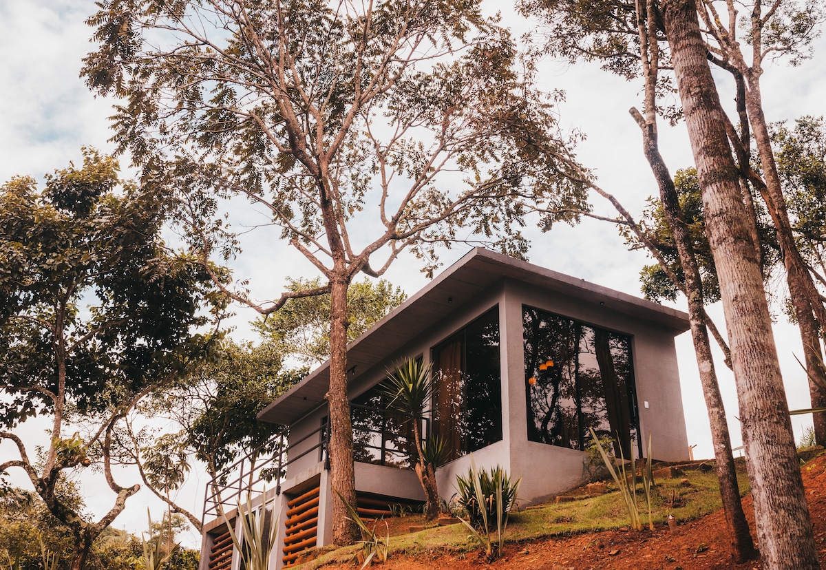 A modern chalet is nestled among tall trees, showcasing large windows that provide ample natural light. The building is positioned on a gentle slope, accompanied by lush greenery and a wooden deck that enhances the outdoor connection.