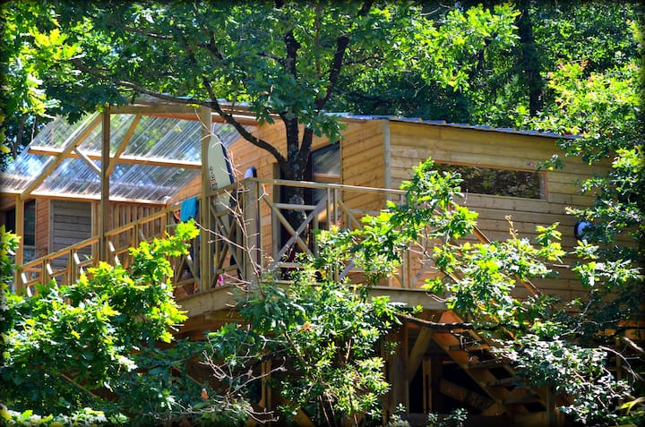 Cabane Perchée "Robinson" 5 P Chez Nature Et Océan - Plage de Messanges