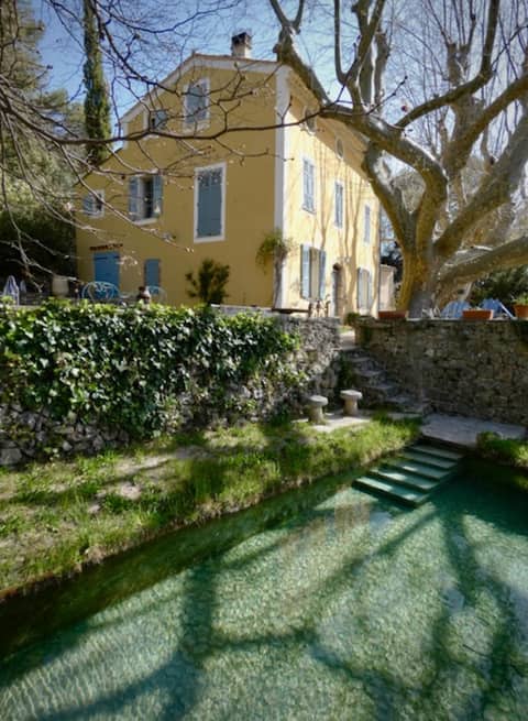A Gem in Provence!