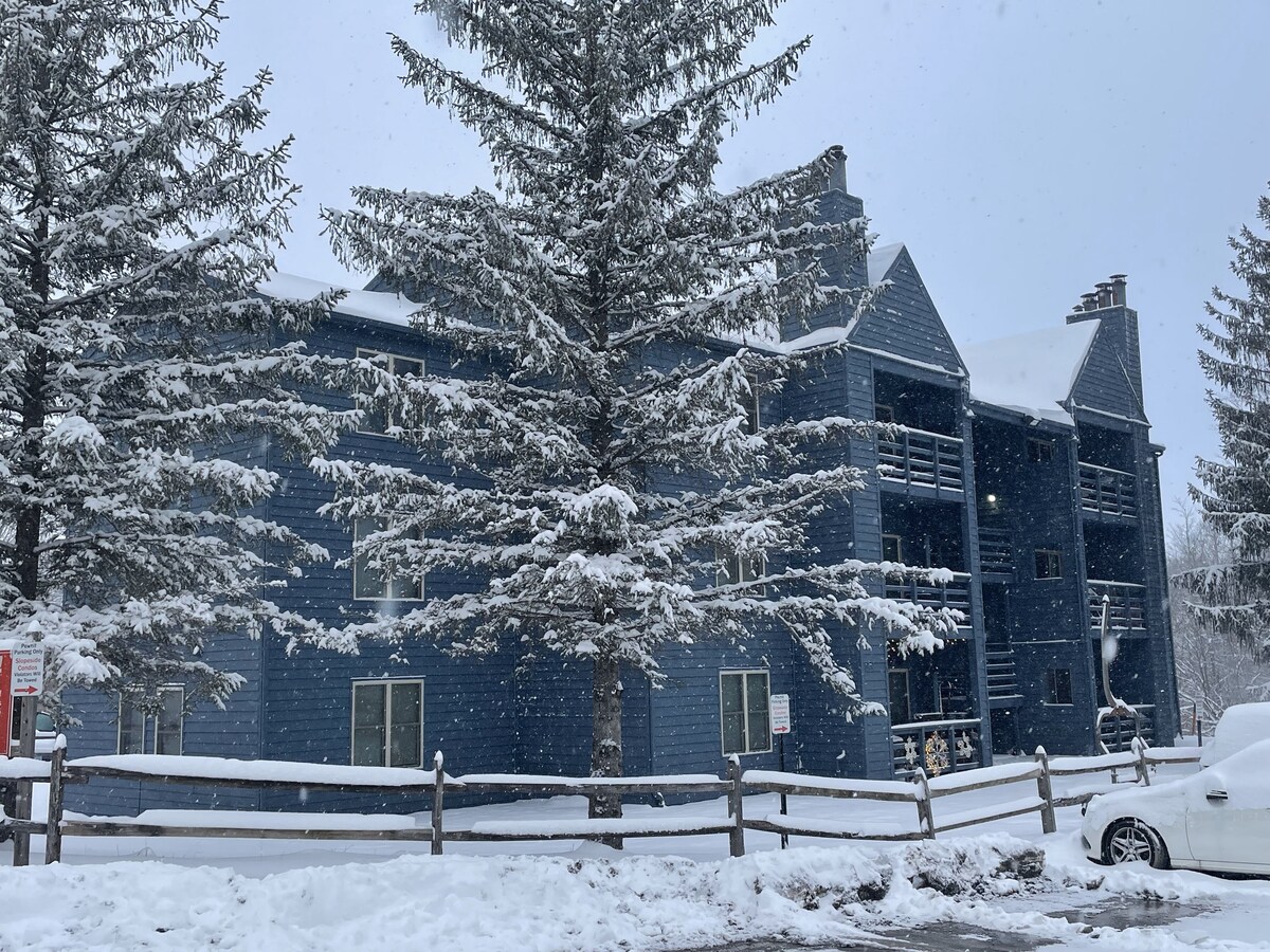 A blue multi-story building is covered in a blanket of snow, with snowflakes falling gently from the gray sky. Tall evergreen trees stand in front, adding a natural touch to the winter scene. The area is peaceful, showcasing a serene winter landscape.