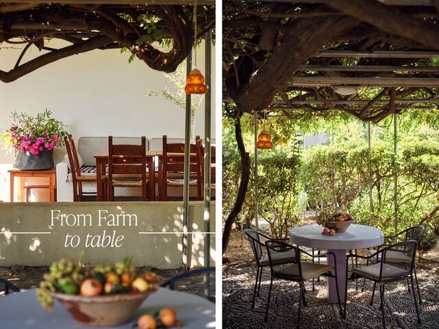 Muazzo Historic Residence, in the Village Core gallery image 3