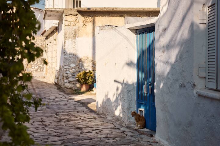 Muazzo Historic Residence, in the Village Core gallery image 5