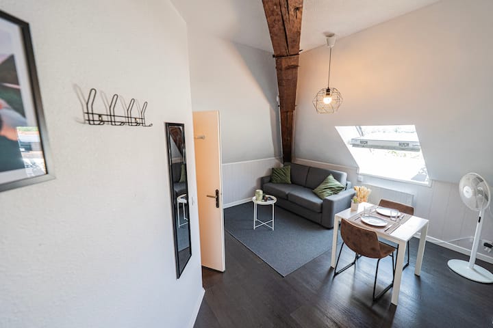 Confortable Petit Studio Entre Lac Et Montagnes - Annecy