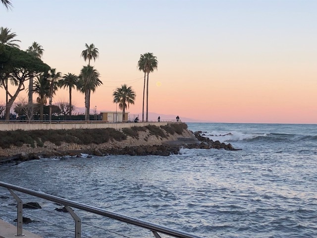 The image captures a serene coastal landscape at dusk. Palm trees line the shore, while gentle waves lap against the rocky beach. A soft gradient of orange and pink hues fills the sky, with the moon visible in the distance, creating a tranquil setting by the water.