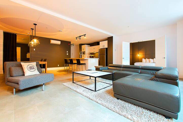 201 – Les Lofts St-Joseph – Par Les Lofts Vieux-QC gallery image 5