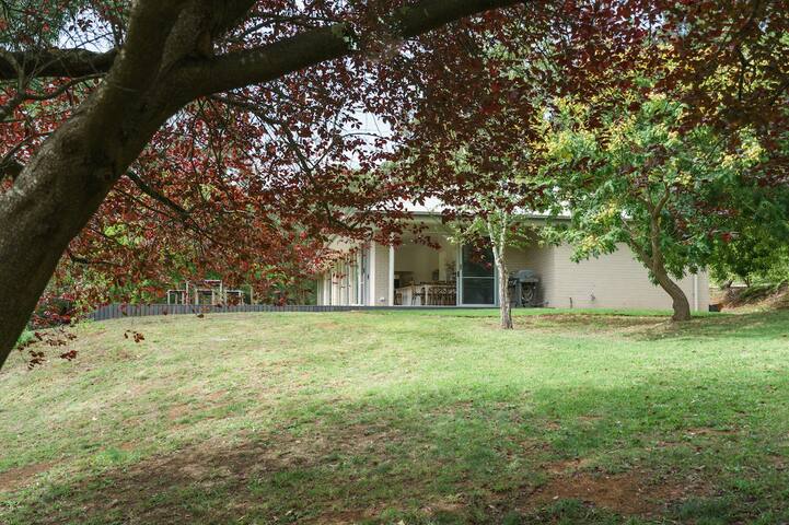 Joie de Vivre – Sunday for Free gallery image 5