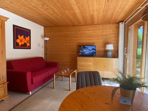 Top performing Airbnb: Apartment 1 with terrace + ski slopes in front in La Chapelle D'abondance