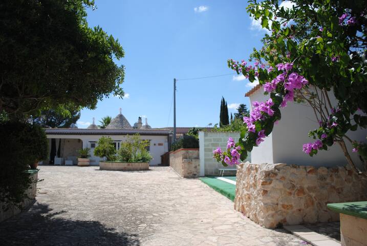 Per un ottimo soggiorno “Dimora Dolce trullo” gallery image 2