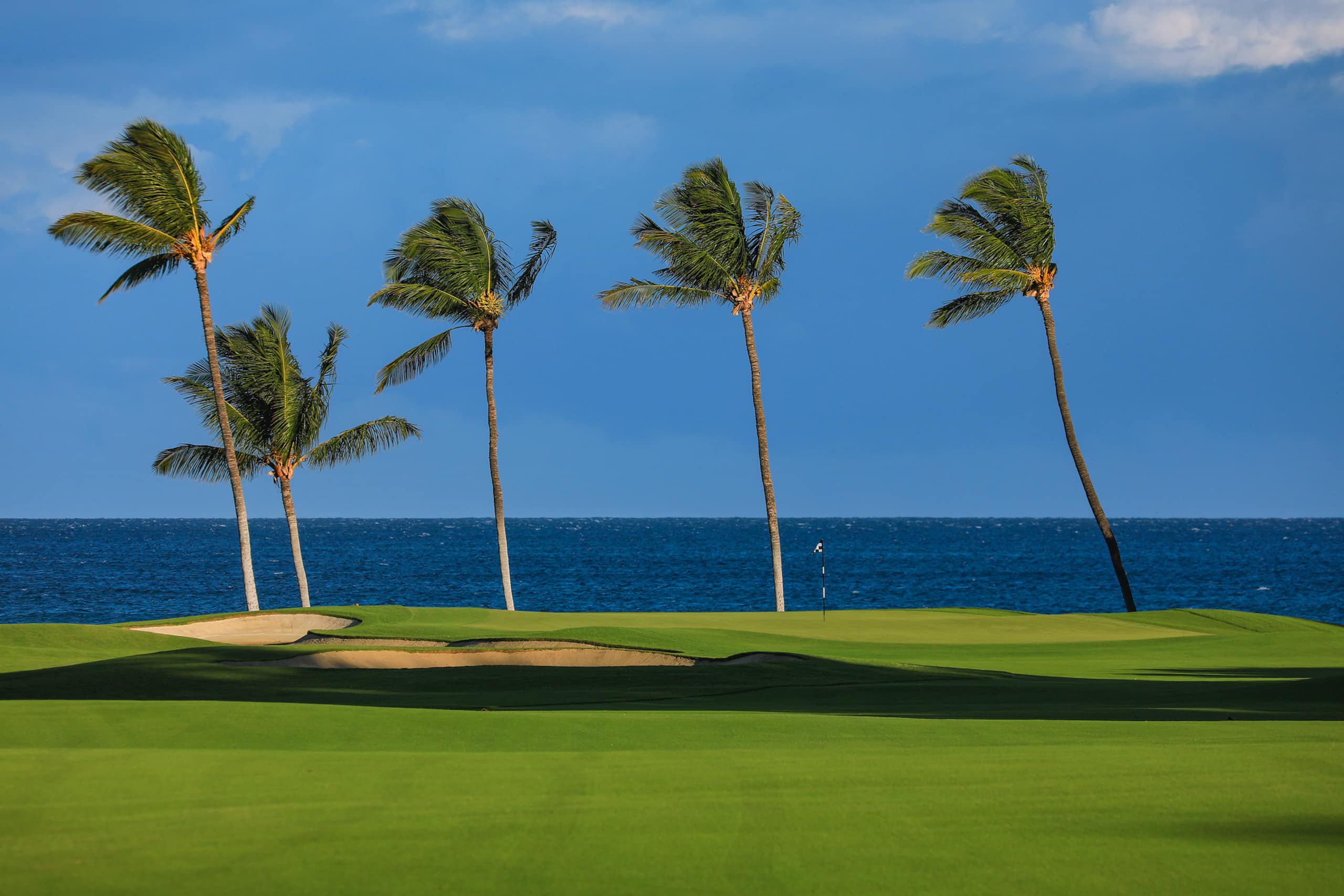 Condo in Waimea · ★4.94 · 3 bedrooms · 3 beds · 3 baths - Image 41