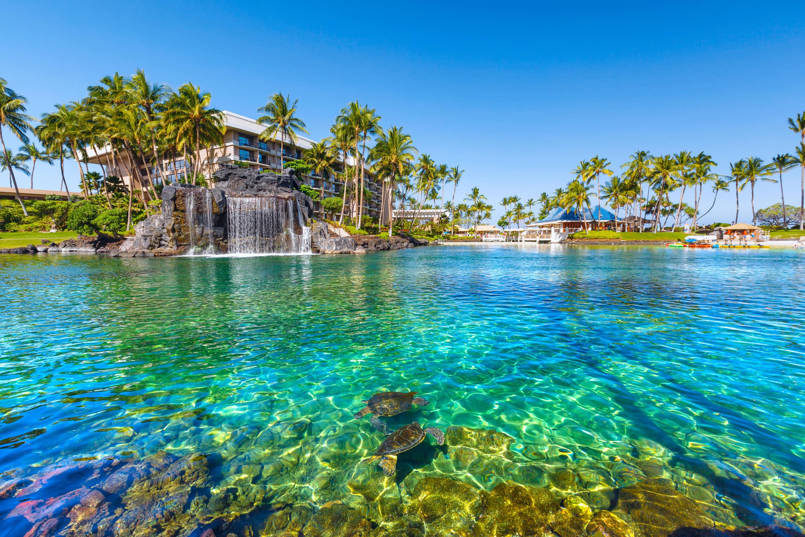 PiH Aloha Shores- Hilton Passes, Private Pool Spa - Photo 10