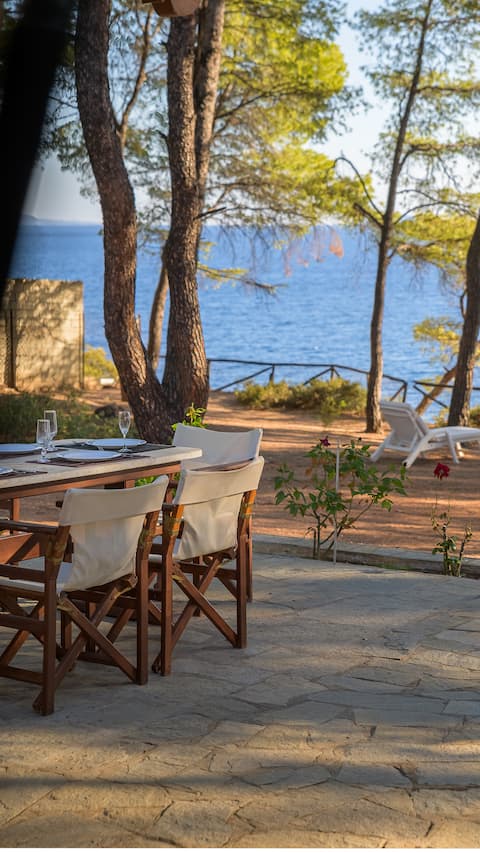 Squirrel Beach Front Villa, Metamorfosi