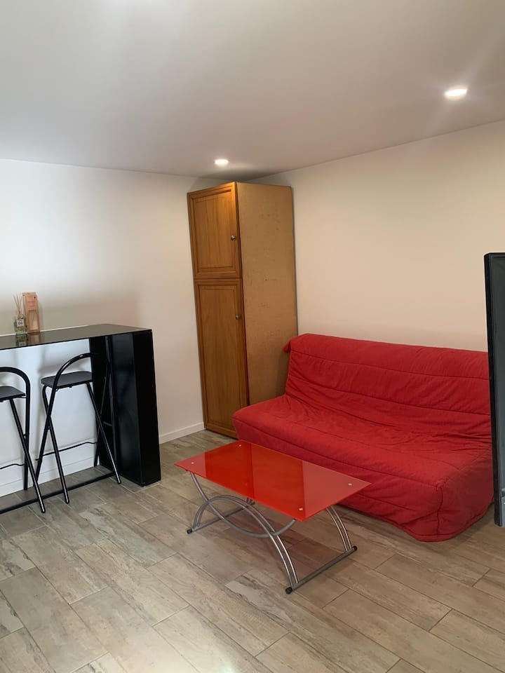 Studio Avec Coin Chambre à Part, Accès Lac - Lake Geneva