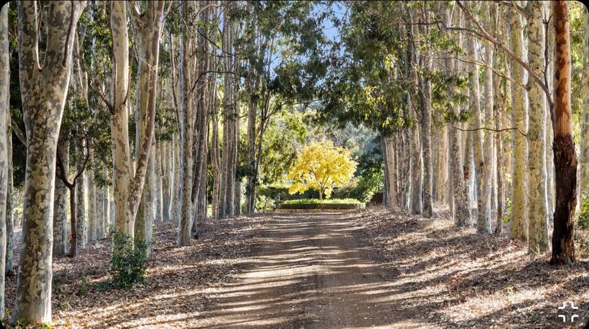 Wilyabrup Home with a View gallery image 2