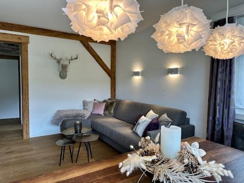 Popular Airbnb listing: Central and snow guaranteed in Arosa! in Arosa