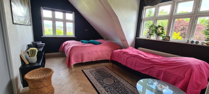 Veliki bračni krevet i veliki krevet za jednu osobu koji može primiti bilo koji dječji krevetić