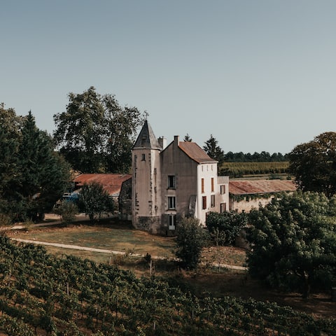 Historic manor in the heart of an organic vineyard
