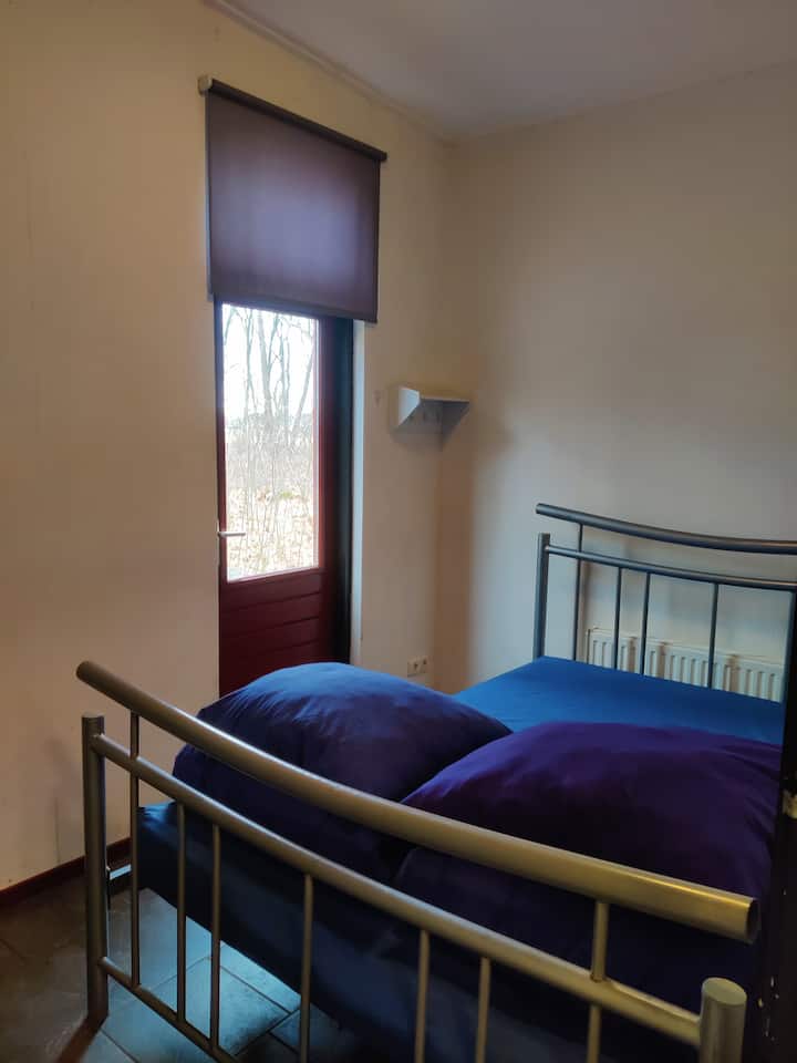 Habitación 12