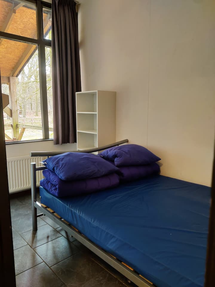 Habitación 8