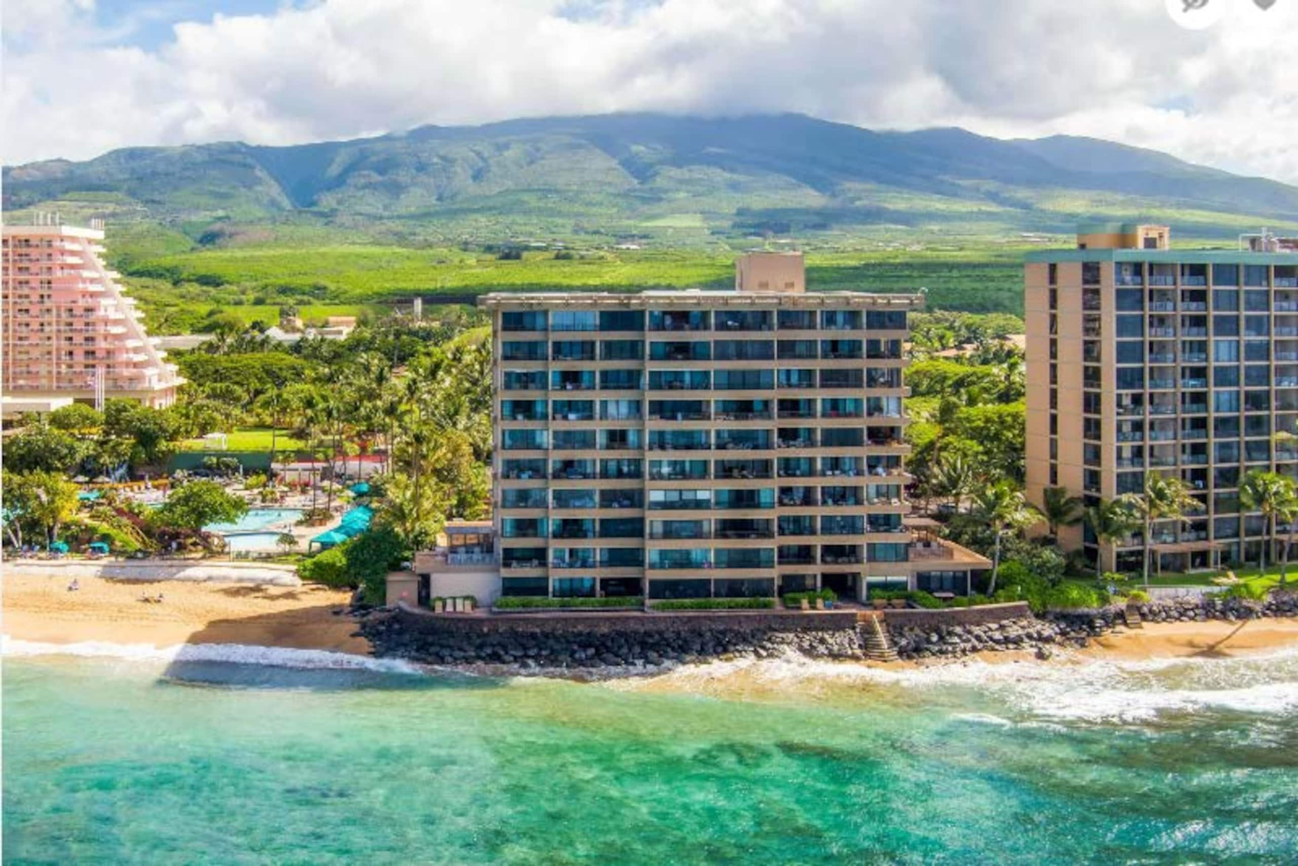 Condo in Lahaina · ★4.89 · 1 bedroom · 2 beds · 1 bath - Image 2