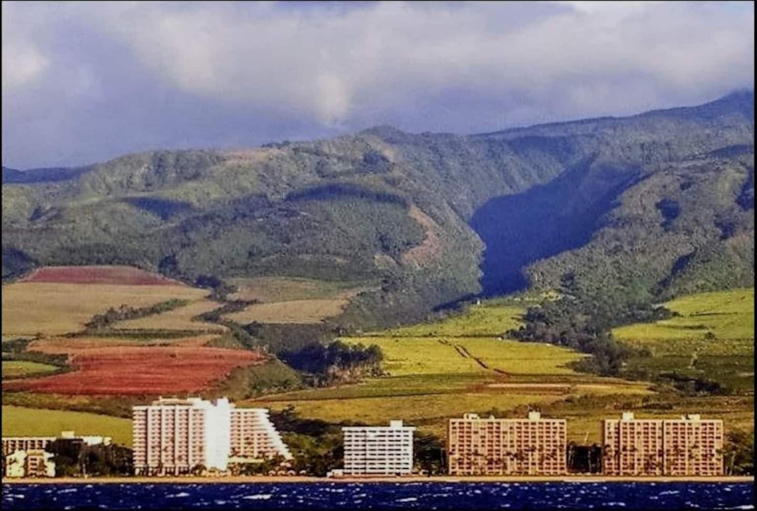 Condo in Lahaina · ★4.89 · 1 bedroom · 2 beds · 1 bath - Image 31