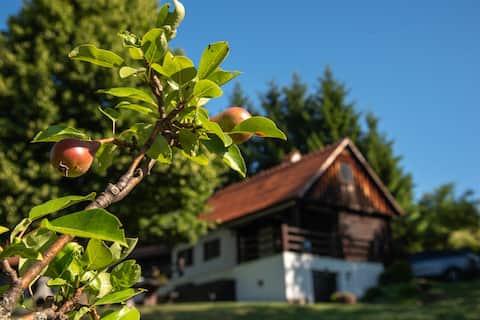 Martin's Family Cottage with Hot Tub & Views