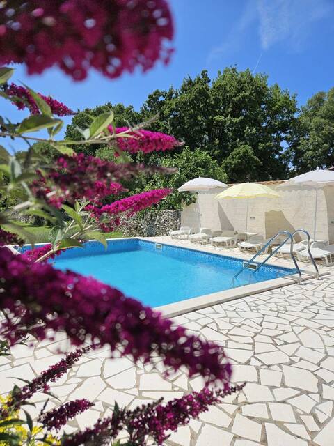 Green paradise in Istria!