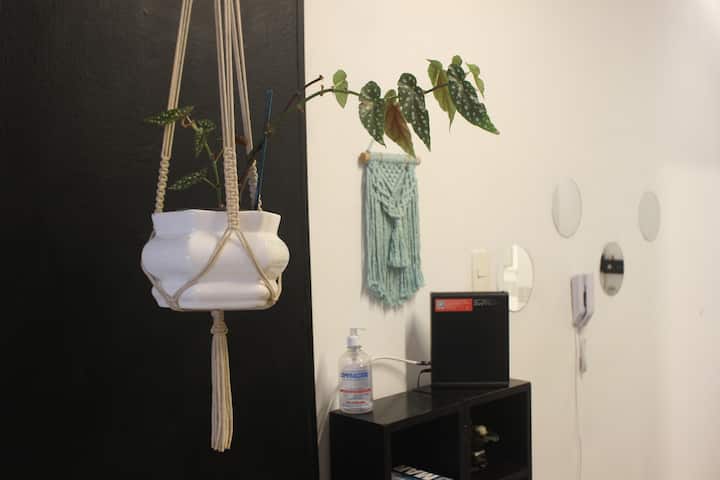 Floripacity Studio - Florianópolis