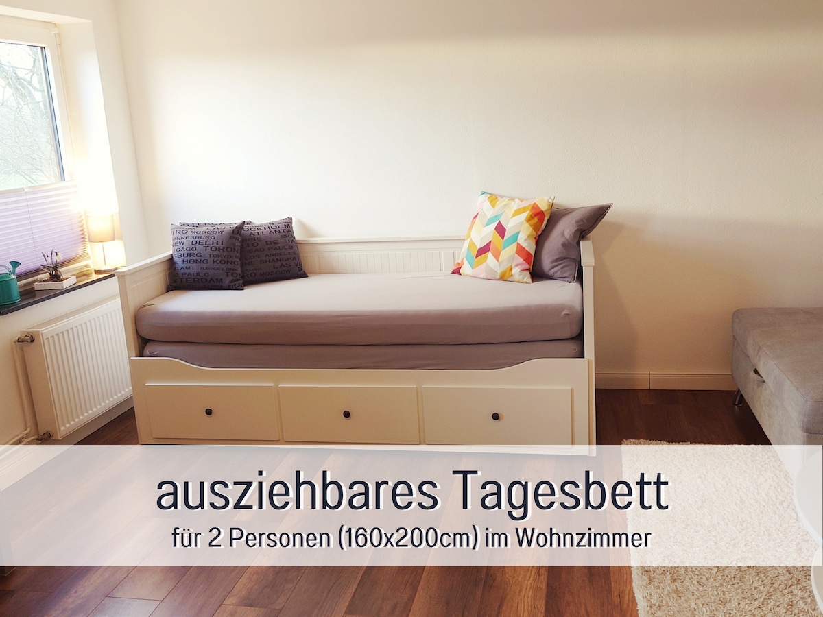 utdragbar dagssäng i vardagsrummet för 2 personer (160x200cm)