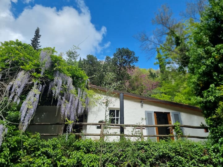 Cozy House In The Wood - Bergeggi