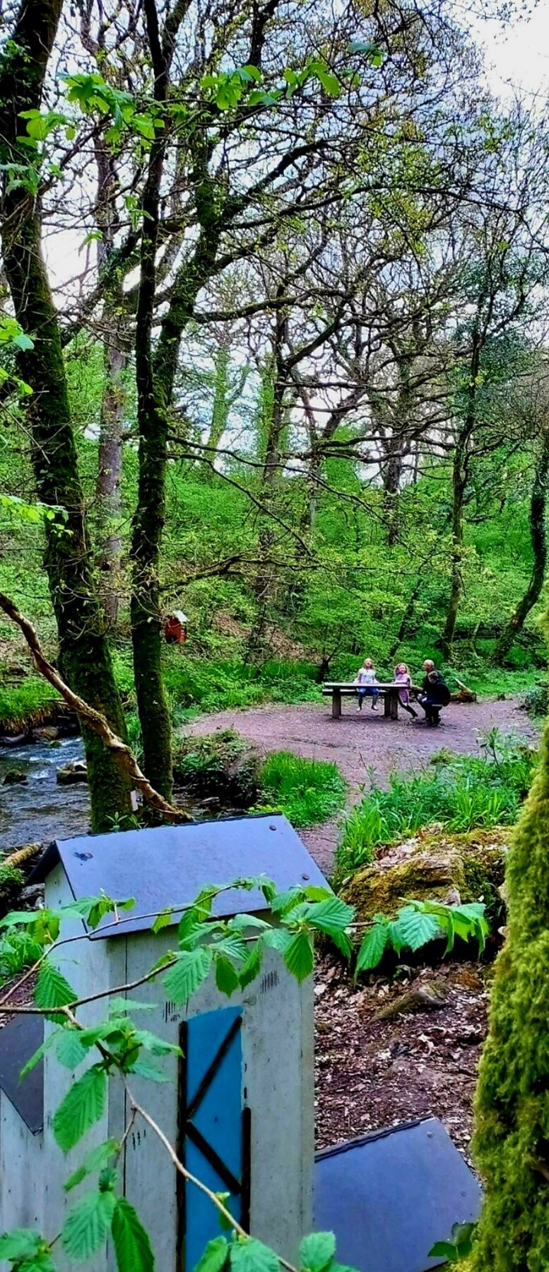 A serene outdoor setting features a wooden table surrounded by lush greenery. Two individuals are seated at the table, with a gentle stream flowing nearby. In the foreground, hints of vibrant plant life are visible, enhancing the tranquil atmosphere.