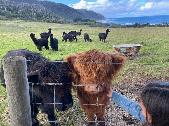 Seacroft Guesthouse – magnificent views of ocean gallery image 2