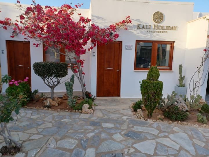 Kali Holiday Apartments No2 - Creta