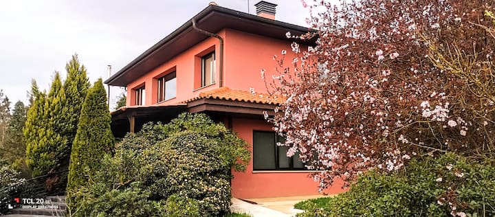 Lovely Cat's B&b - Vitoria-Gasteiz