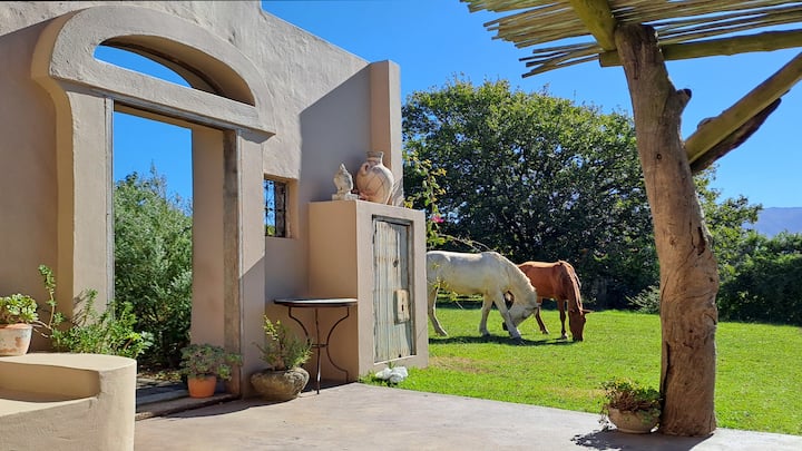 Akasha Mountain Retreat, New Location - Western Cape