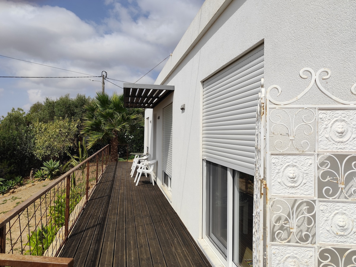 A spacious wooden deck is featured, leading to a clean white exterior of the house. Shuttered windows are visible, providing a sense of privacy. Surrounding greenery includes palm trees and other plants, creating a serene outdoor environment.