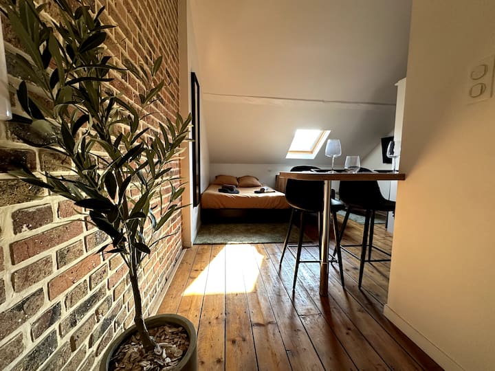 Cosy Studio Parc St-pierre Et Hortillonnages - Longueau