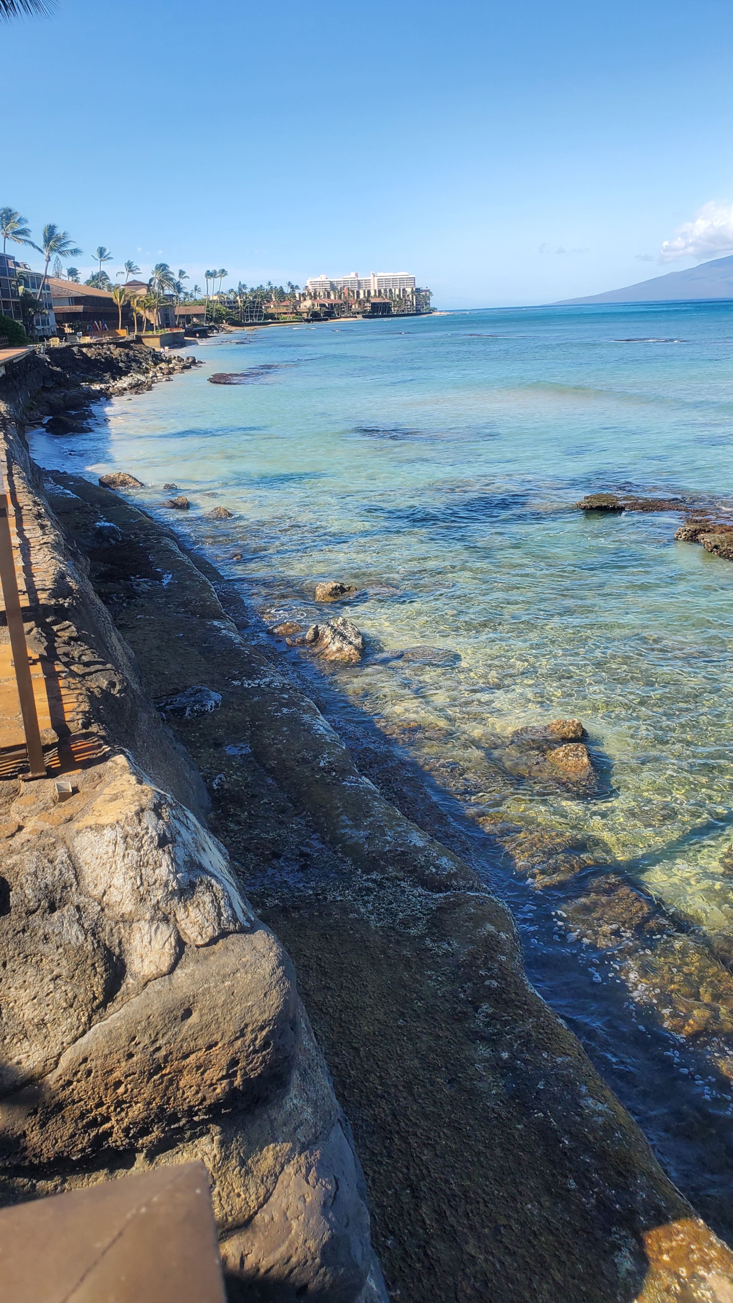 Condo in Lahaina · ★4.96 · 1 bedroom · 2 beds · 1 private bath - Image 20