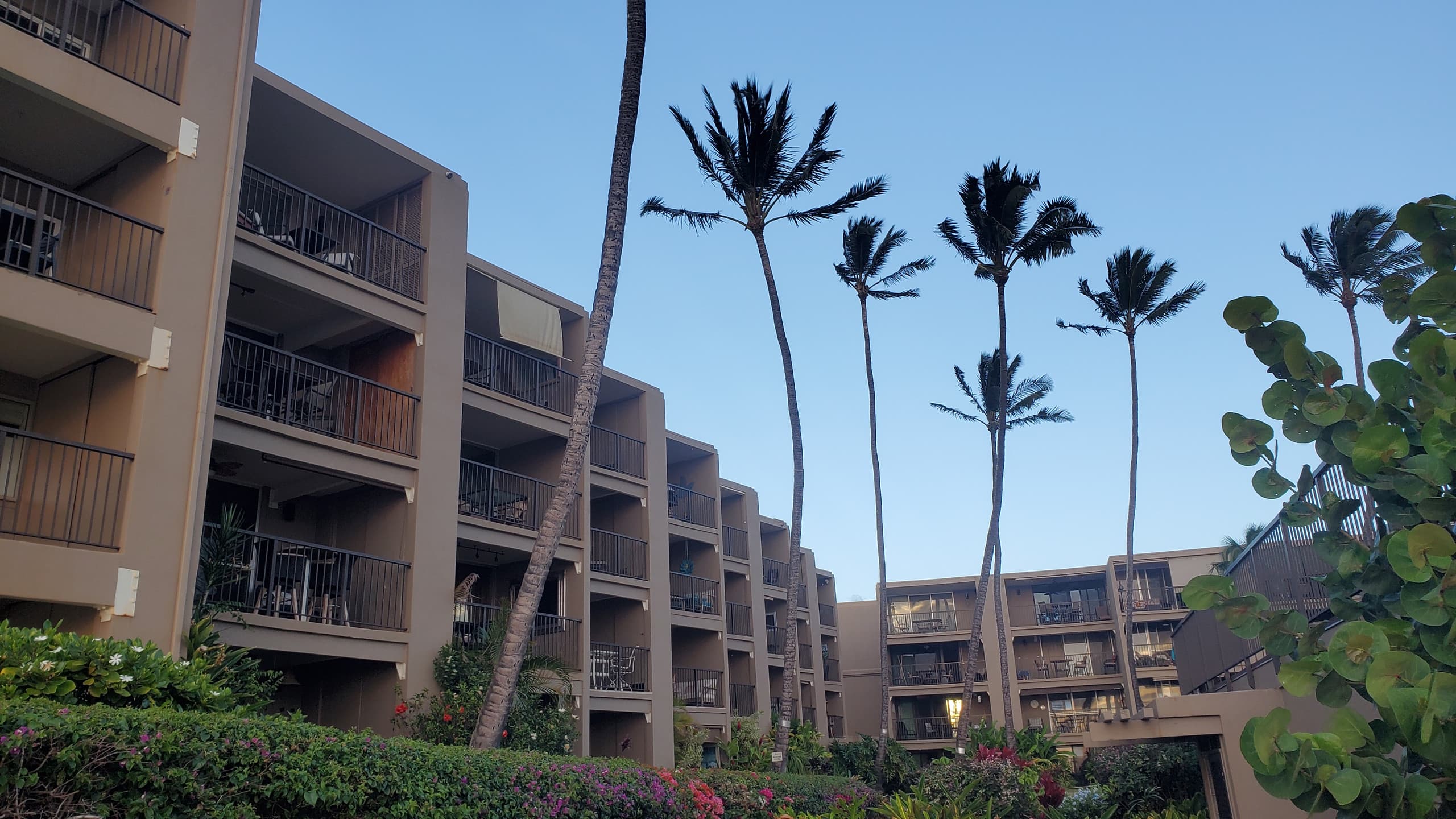 Condo in Lahaina · ★4.96 · 1 bedroom · 2 beds · 1 private bath - Image 32