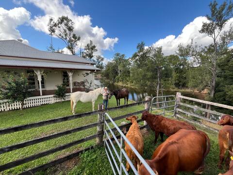 Imbil Bridge Farm  magical river front homestead