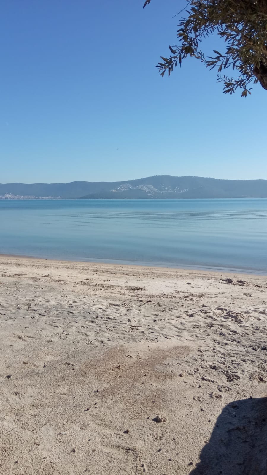A serene coastal scene is depicted, showcasing a stretch of sandy beach that meets calm blue waters. Gentle waves are visible, with distant hills providing a scenic backdrop under a clear sky.