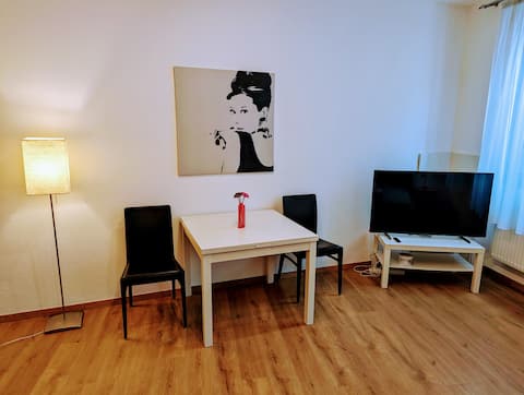 Successful Airbnb property: Near center apartment in graz in Innere Stadt